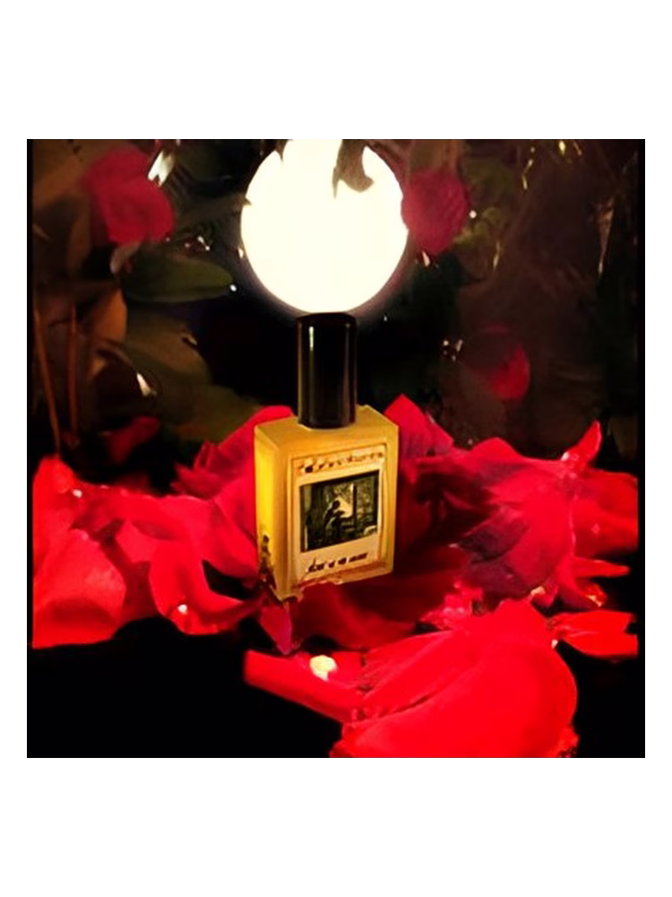 Solstice Scents Heart of the Night