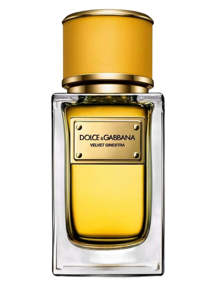 Dolce&Gabbana Velvet Ginestra