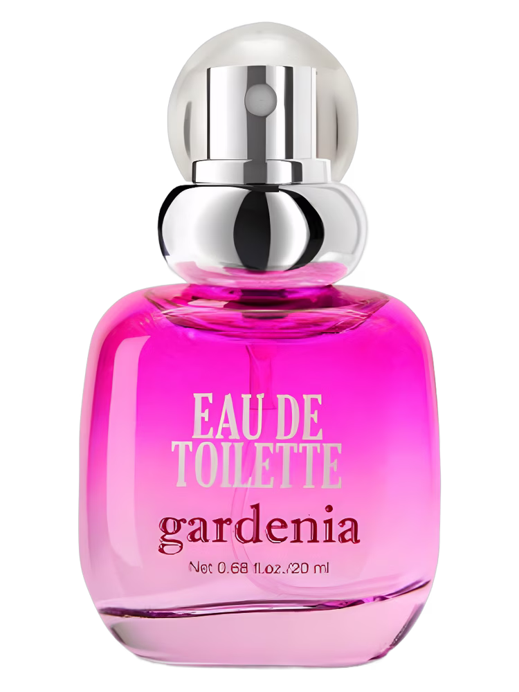 H&M Gardenia