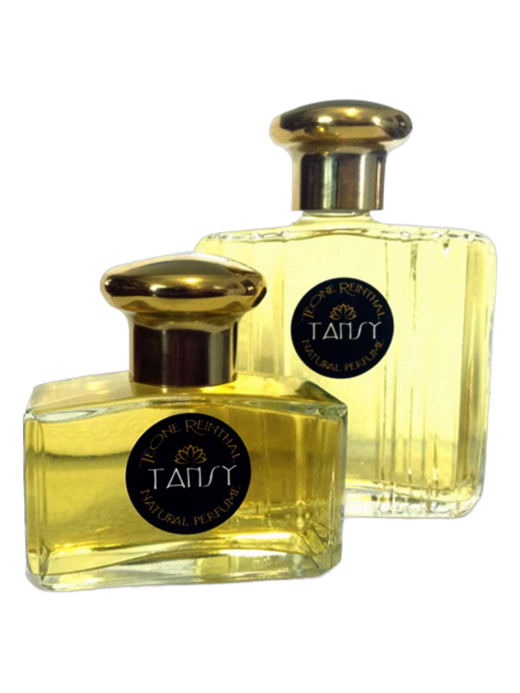 TRNP Tansy