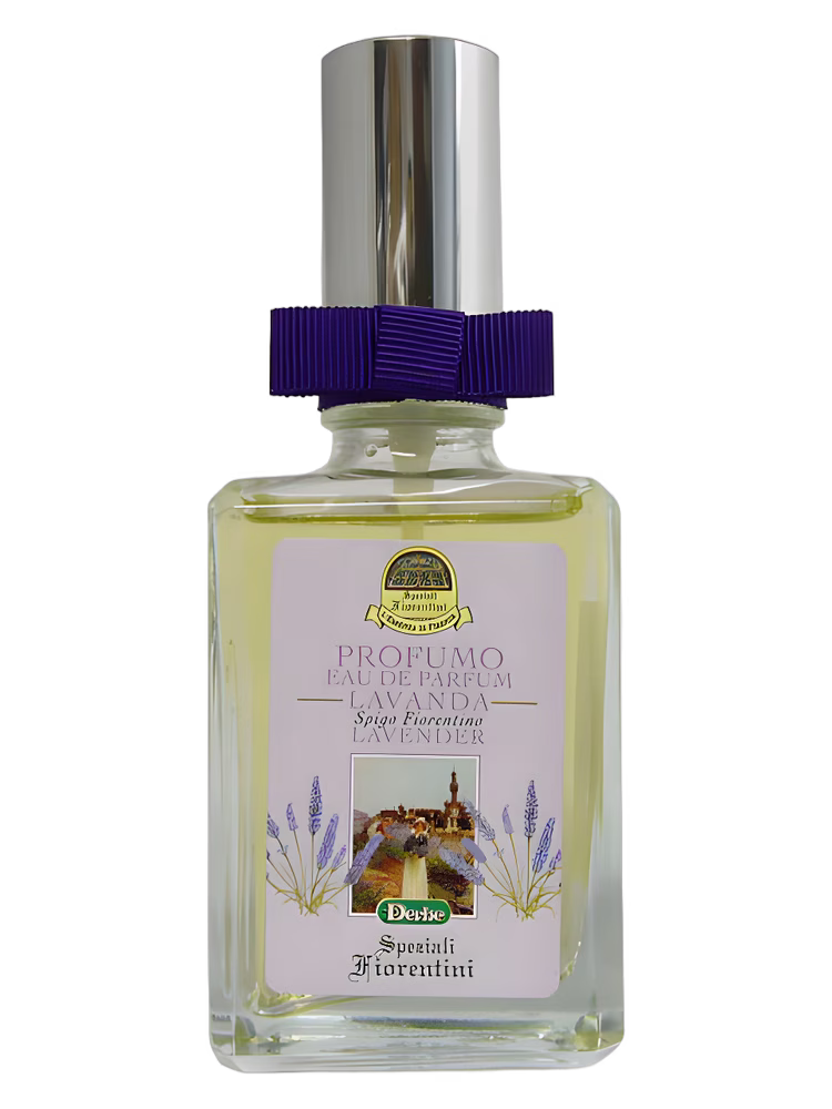 Derbe Lavanda