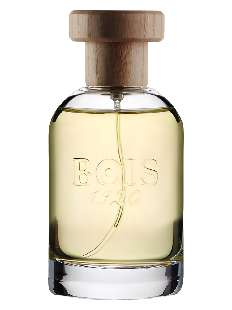 Bois 1920 Magia