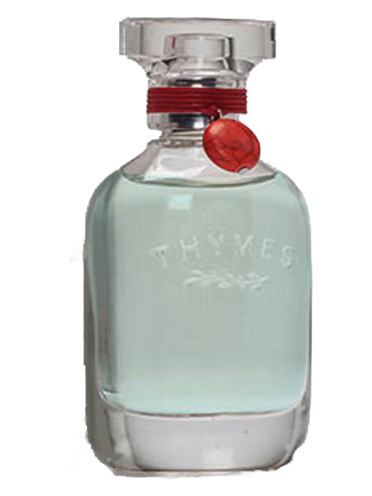 Thymes Aqua Coralline