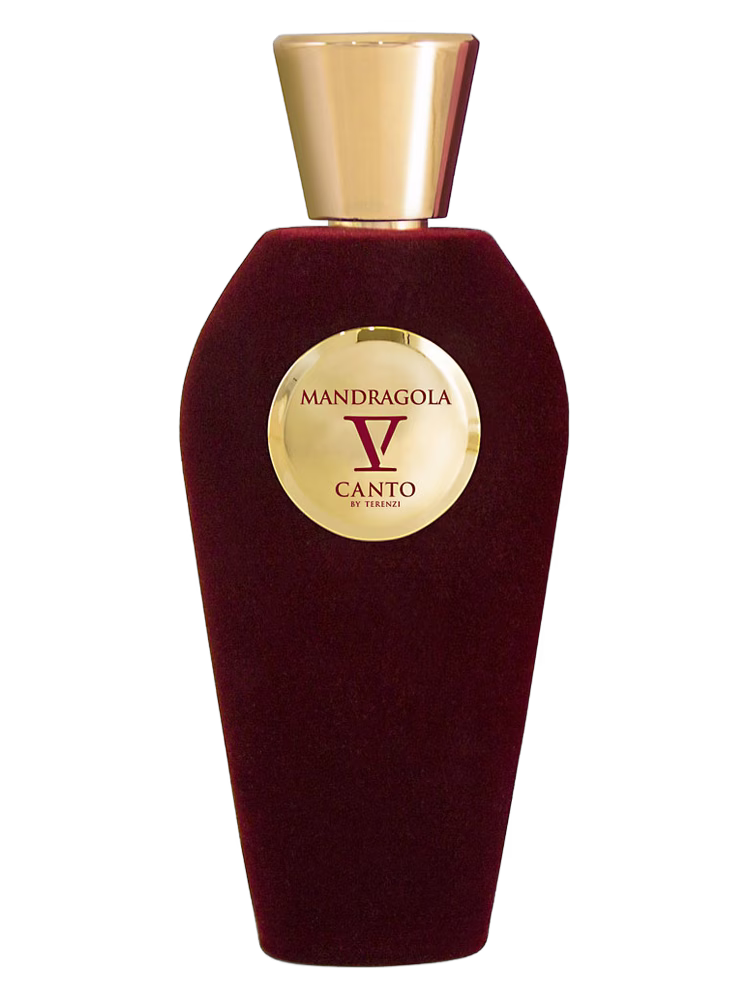 V Canto Mandragola
