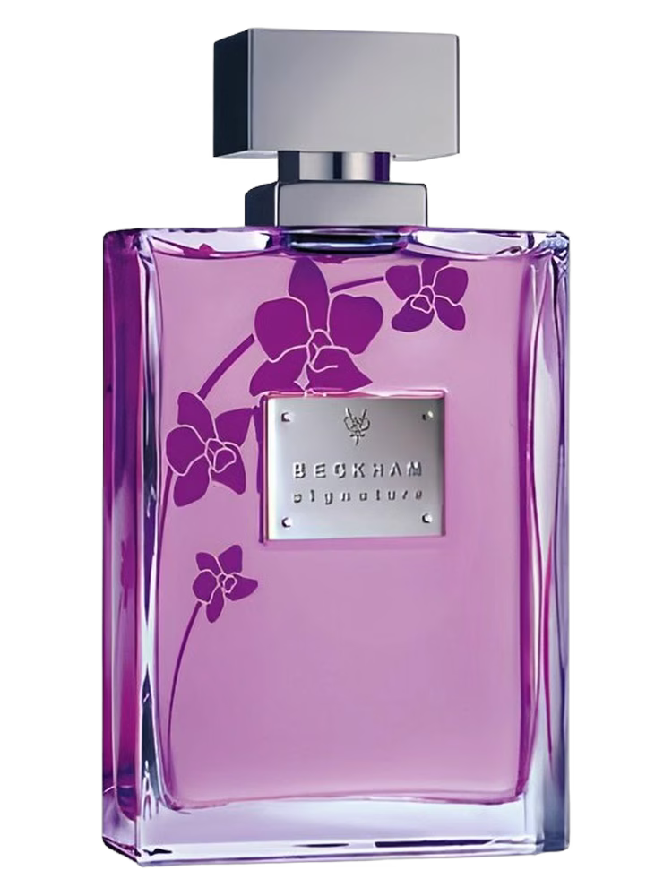 David Beckham Signature for Her