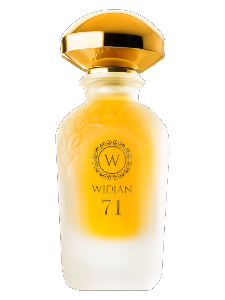 WIDIAN Limited 71
