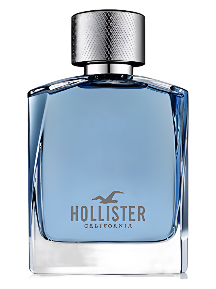 Hollister Hollister Wave For Him