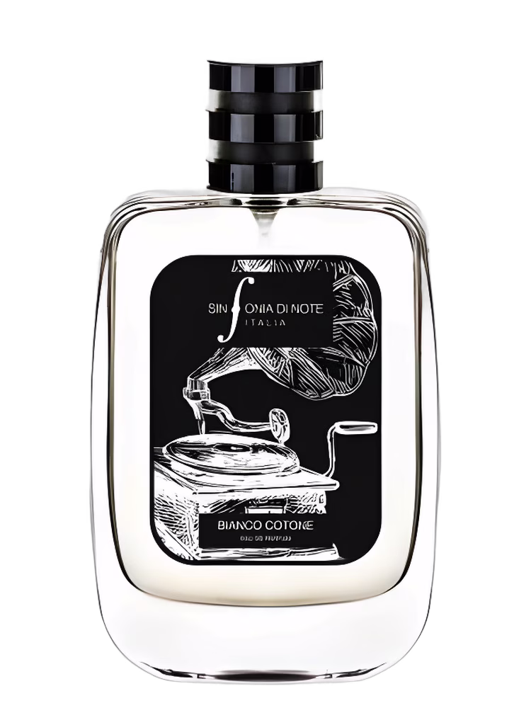 Sinfonia di Note Bianco Cotone
