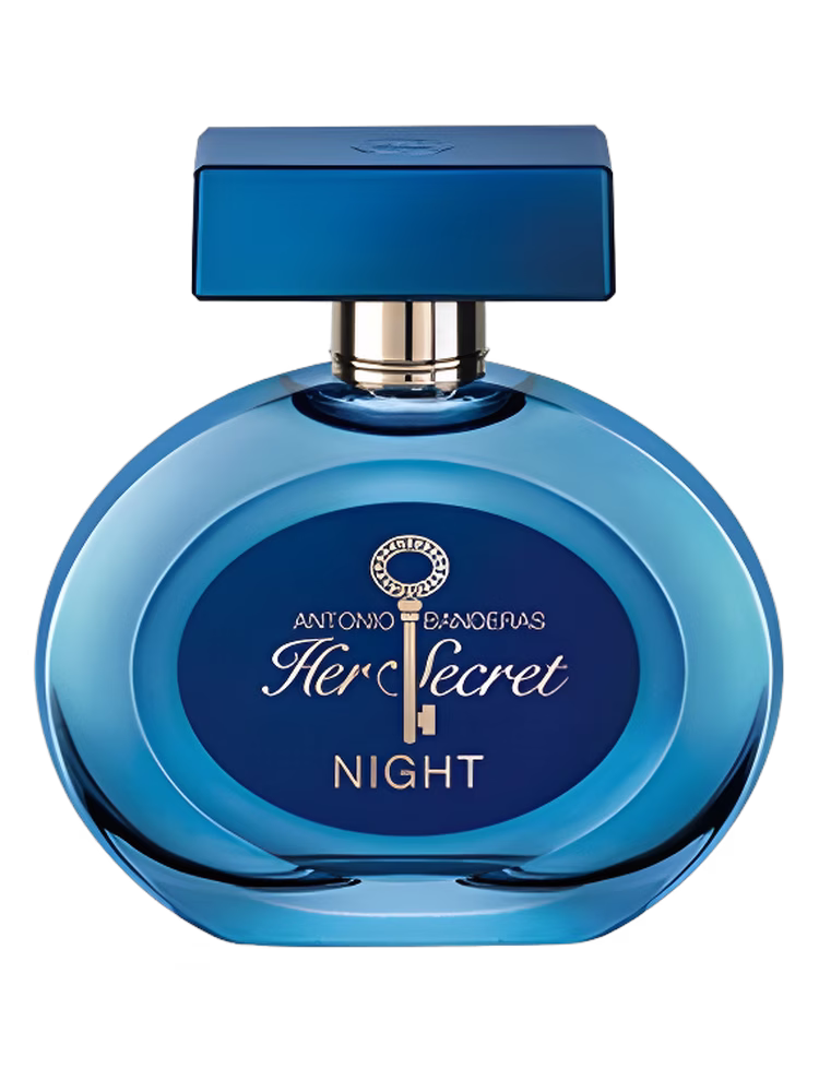 Antonio Banderas Her Secret Night