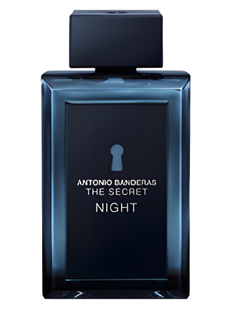 Antonio Banderas The Secret Night