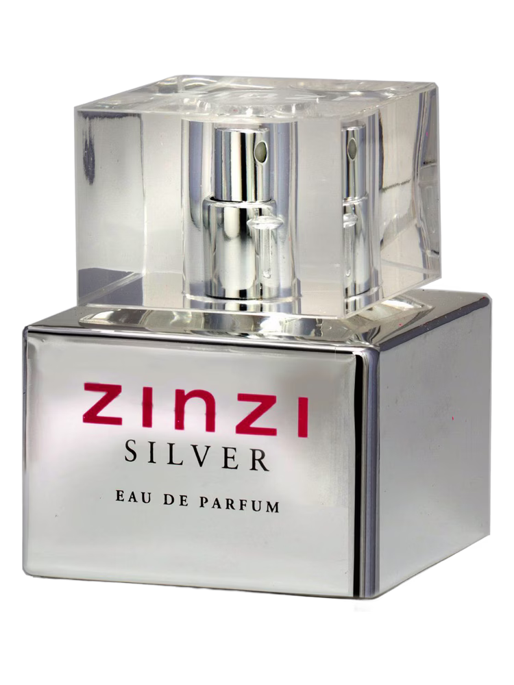 Zinzi Zinzi Silver