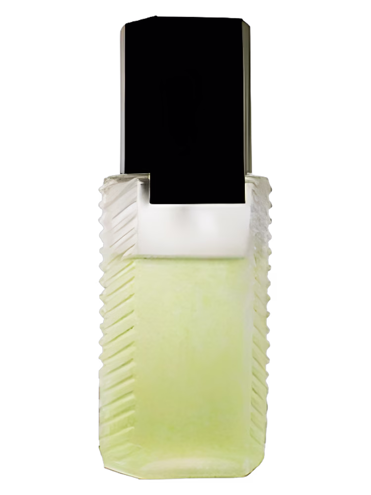 Avon Eau Givree