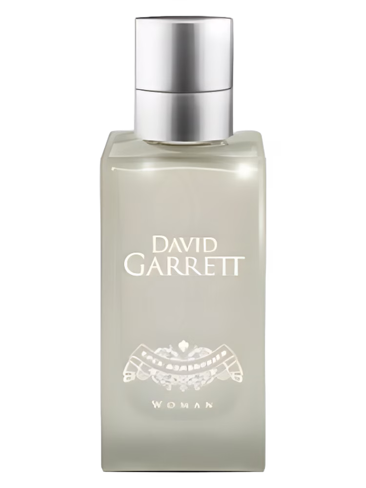 David Garrett Rock Symphonies Woman