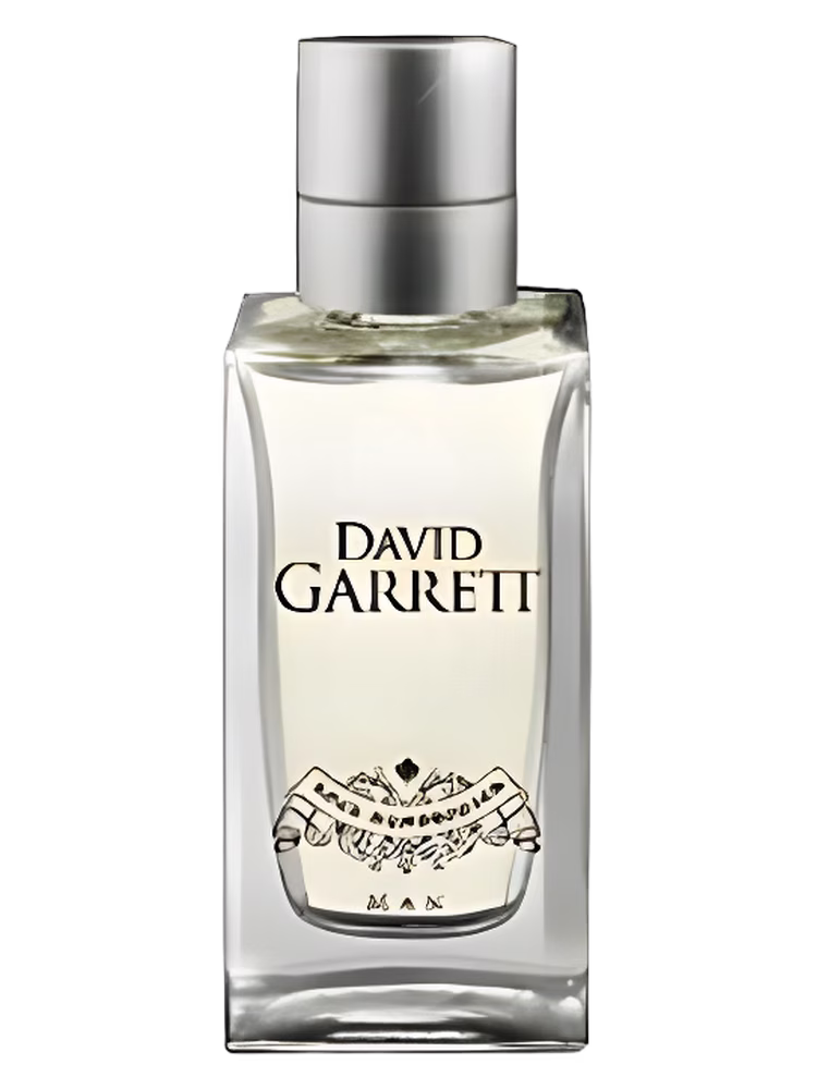 David Garrett Rock Symphonies Man