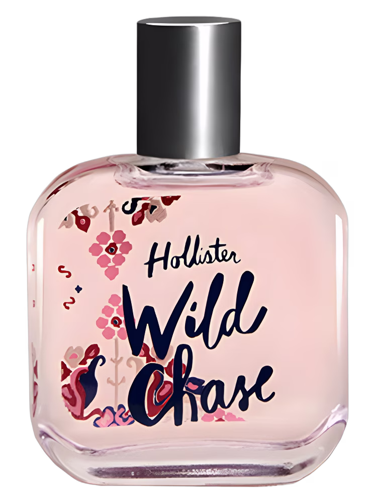 Hollister Wild Chase