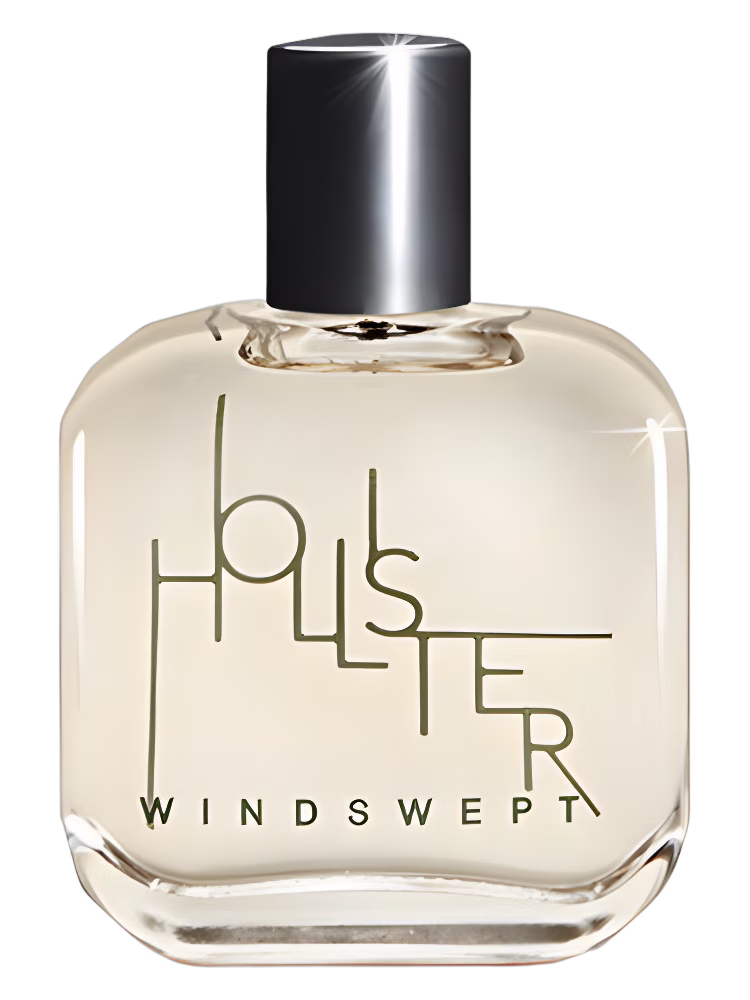 Hollister Windswept