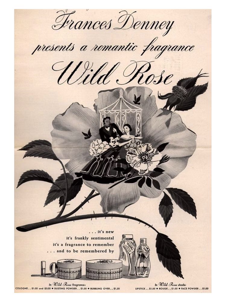 Frances Denney Wild Rose
