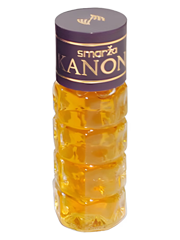 Dzintars Kanons