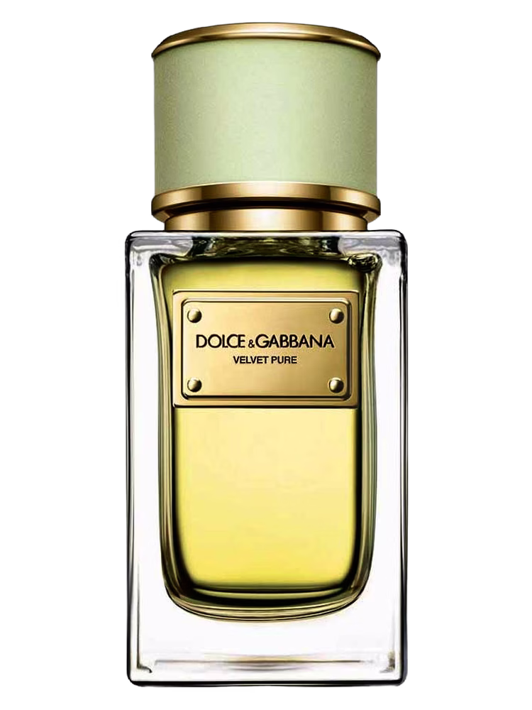 Dolce&Gabbana Velvet Pure