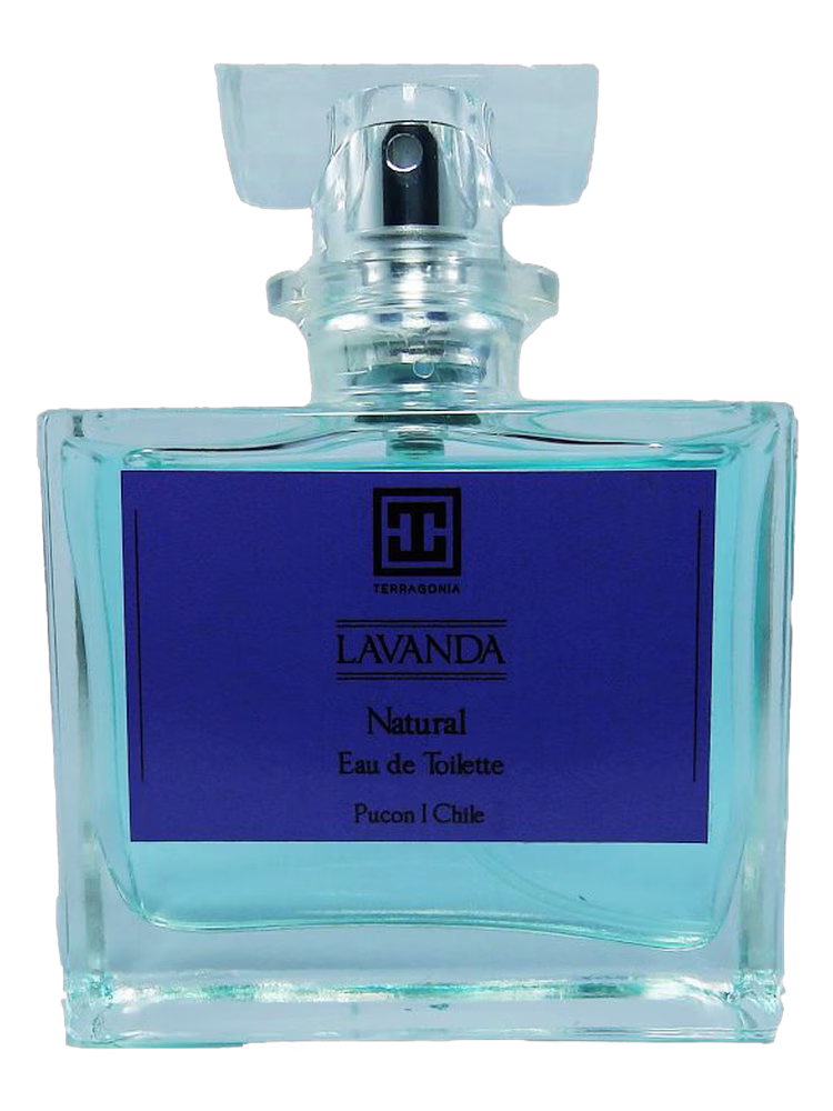 Terragonia Lavanda