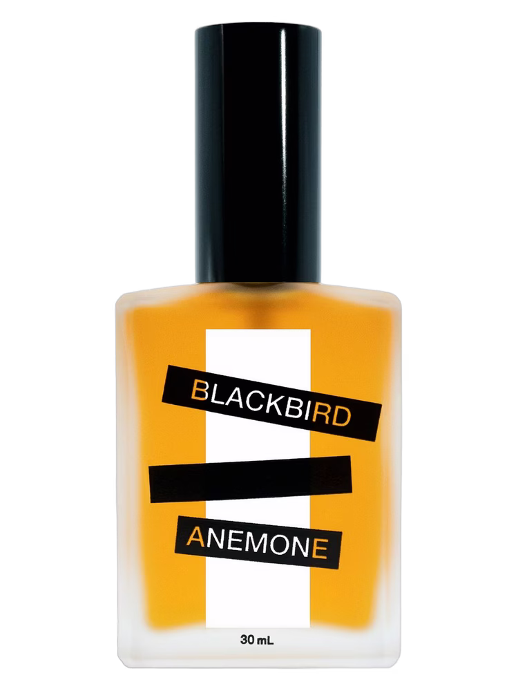 Blackbird Anemone