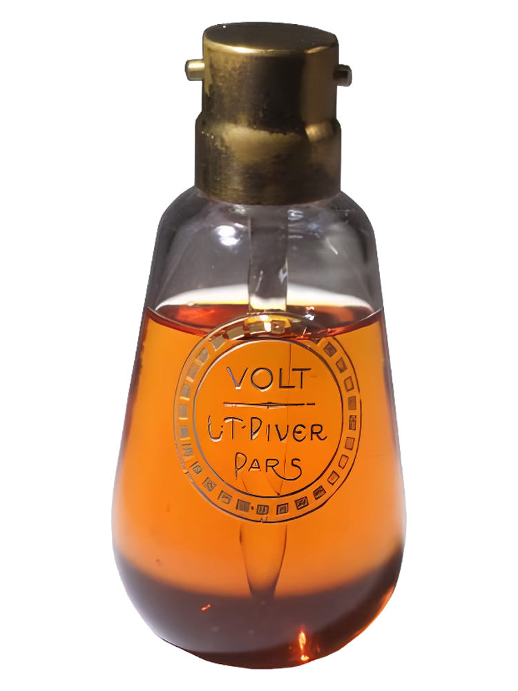 L.T. Piver Volt