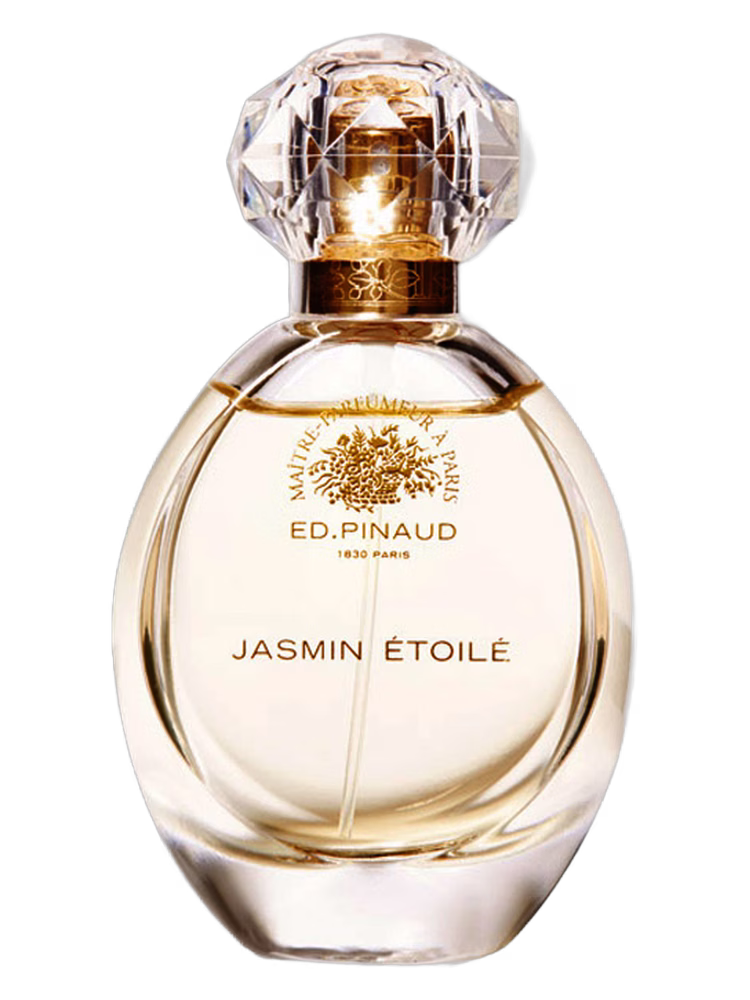 Ed Pinaud Jasmin Etoilé