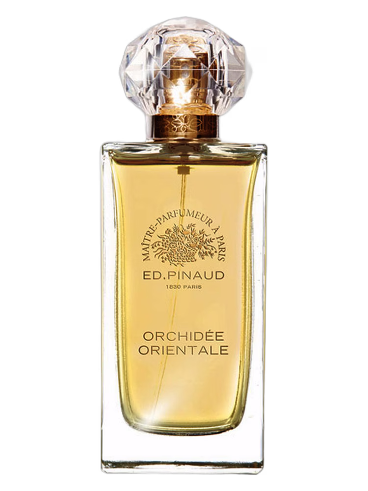 Ed Pinaud Orchidée Orientale