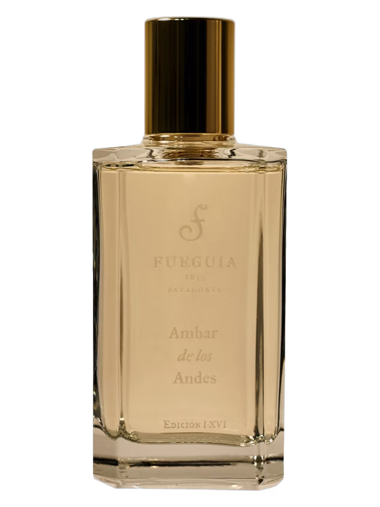 Fueguia 1833 Ambar de los Andes