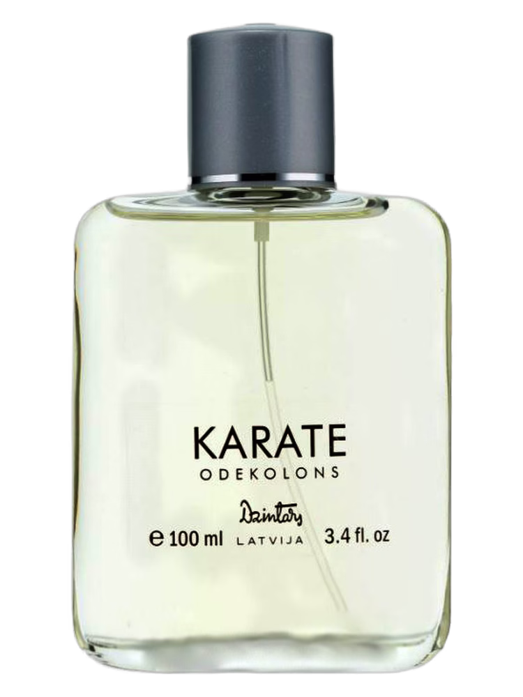 Dzintars Karate