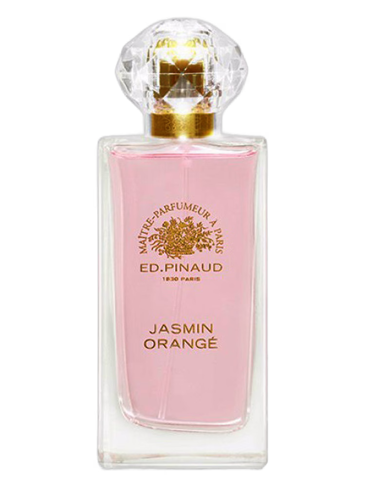 Ed Pinaud Jasmin Orangé