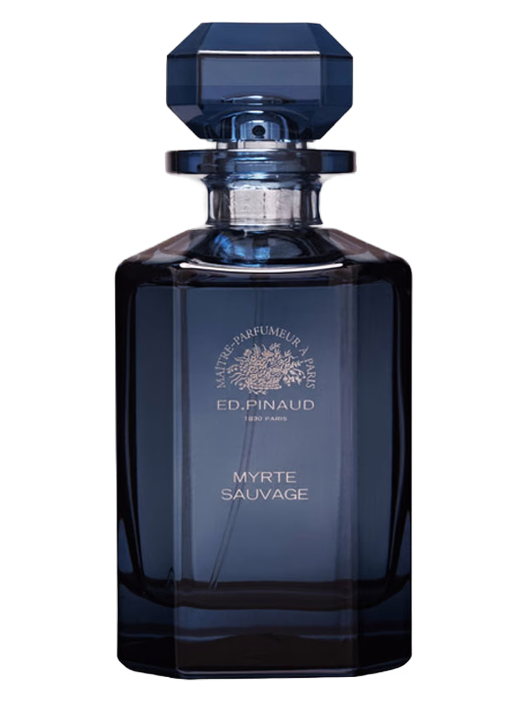 Ed Pinaud Myrte Sauvage