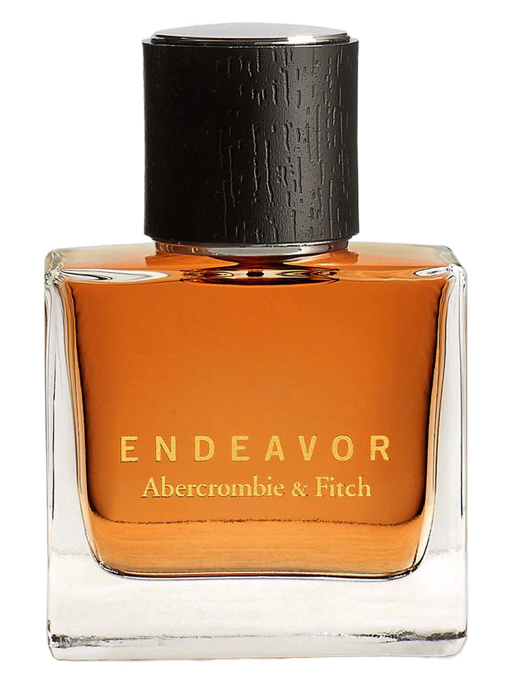 Abercrombie & Fitch Endeavor