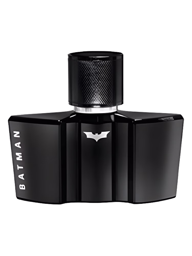 Batman Batman The Dark Night Rises