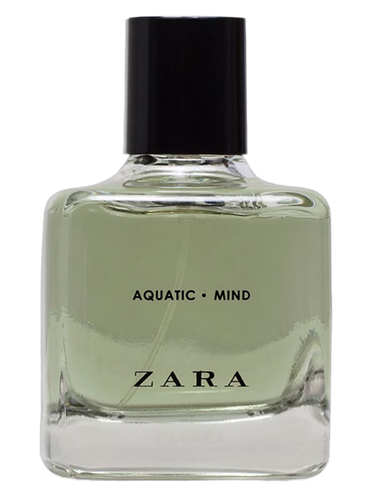 Zara Aquatic Mind