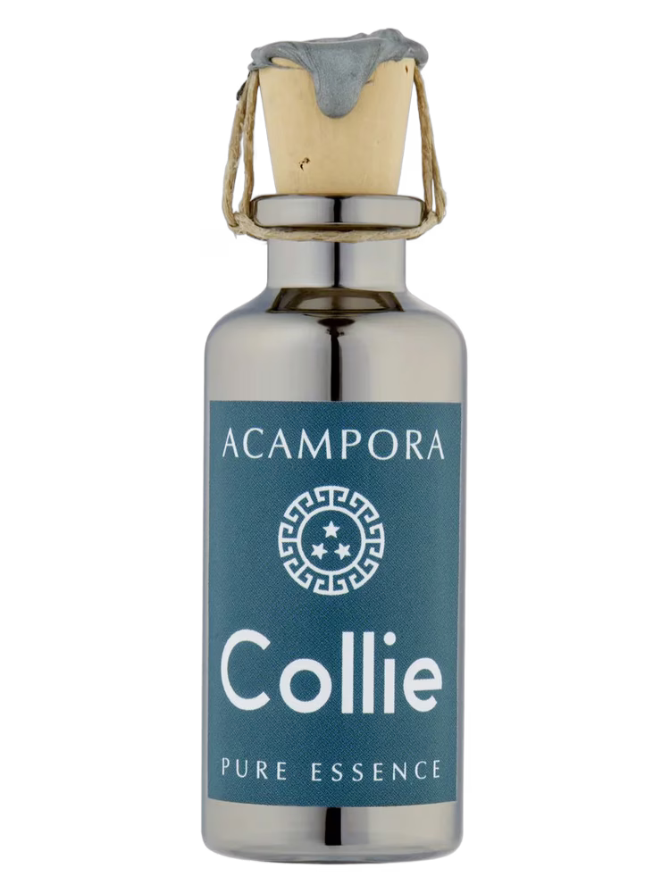 Bruno Acampora Collie – Pure Essence