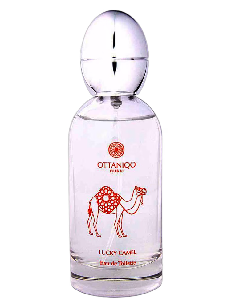 OTTANIQO Lucky Camel