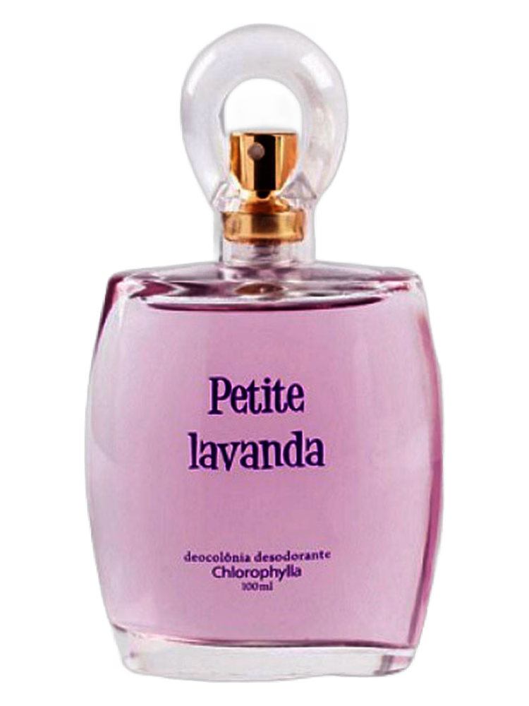 Chlorophylla Petite Lavanda