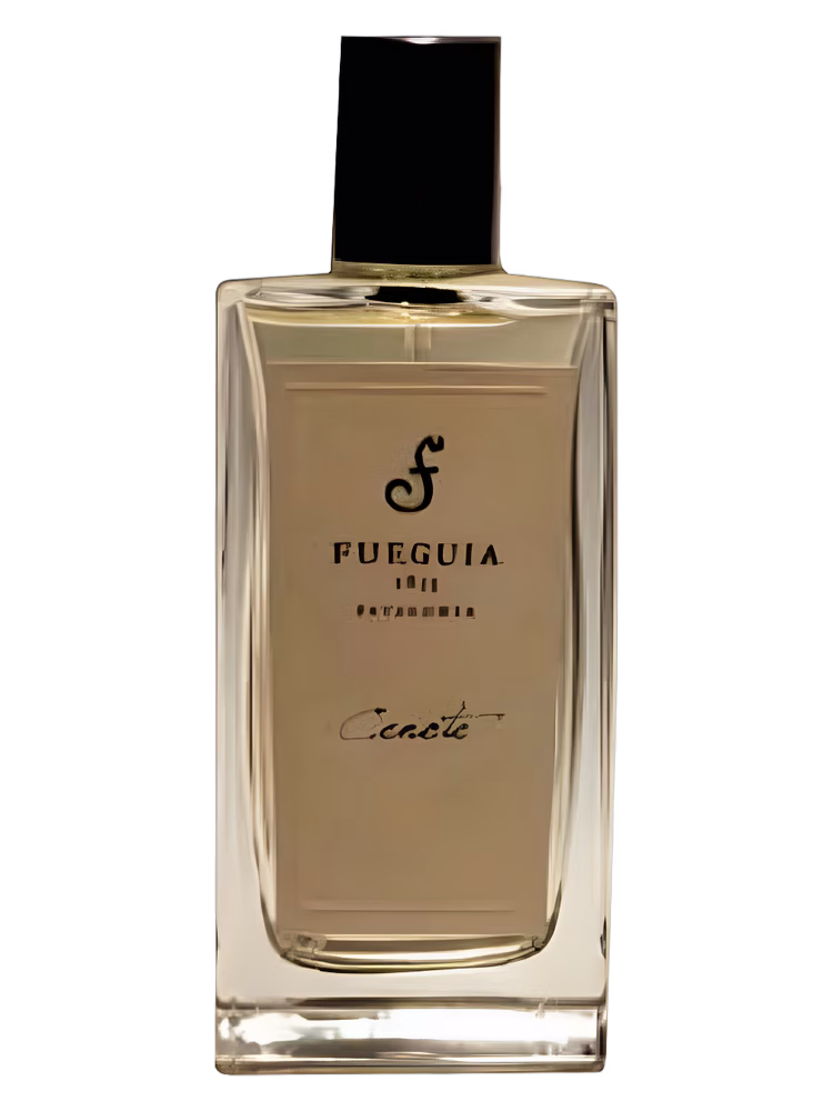 Fueguia 1833 Cenote