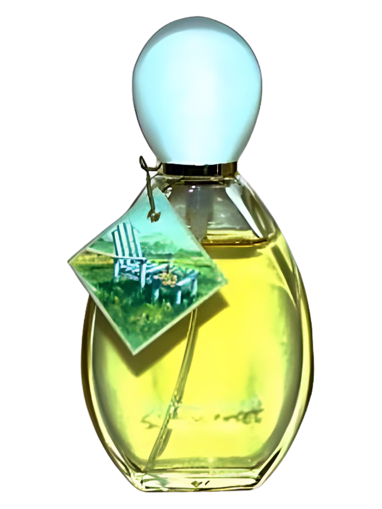 Avon Summerset
