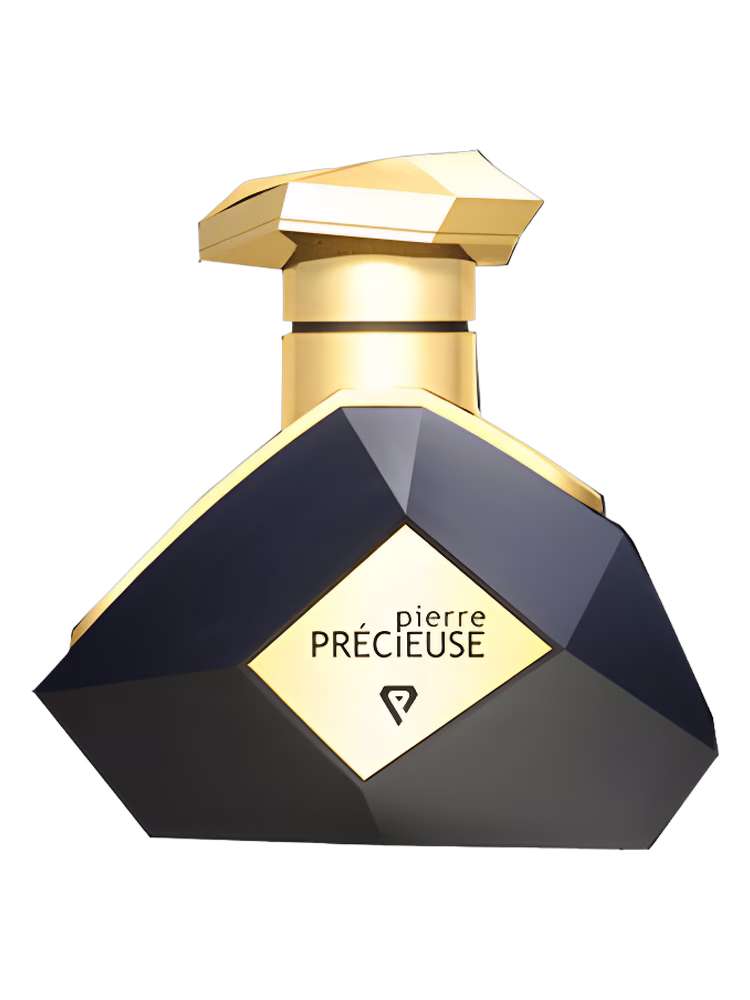 Pierre Precieuse Black Diamond