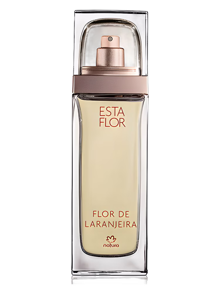 Natura Esta Flor Flor de Laranjeira
