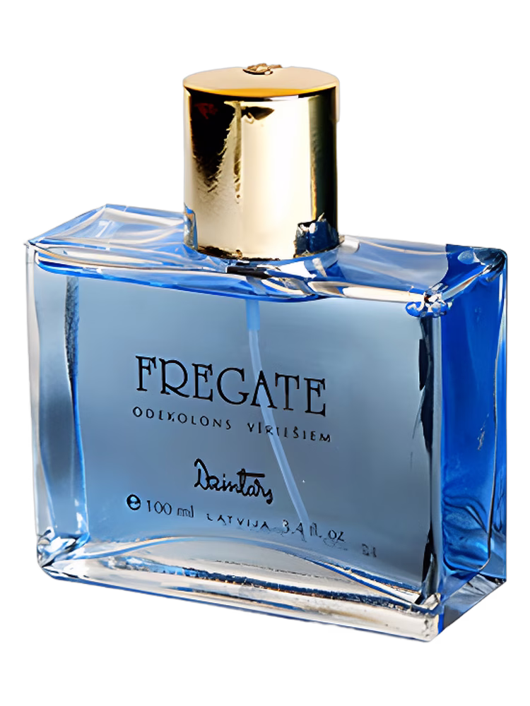Dzintars Fregate