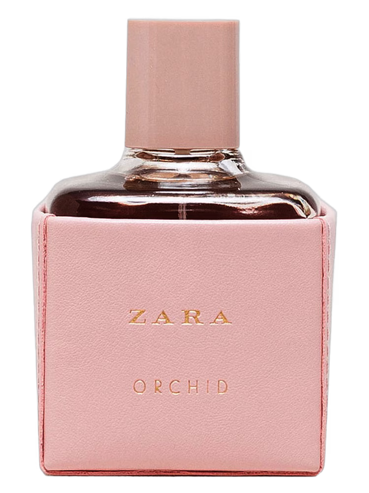 Zara Zara Orchid 2016
