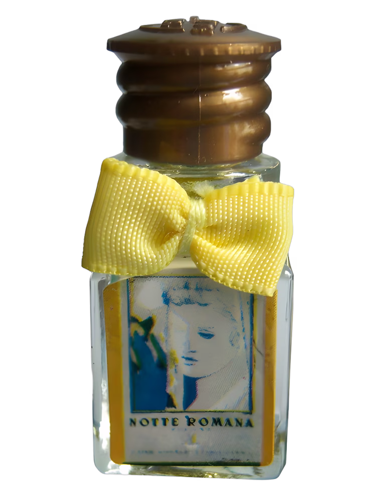 Borsari Notte Romana