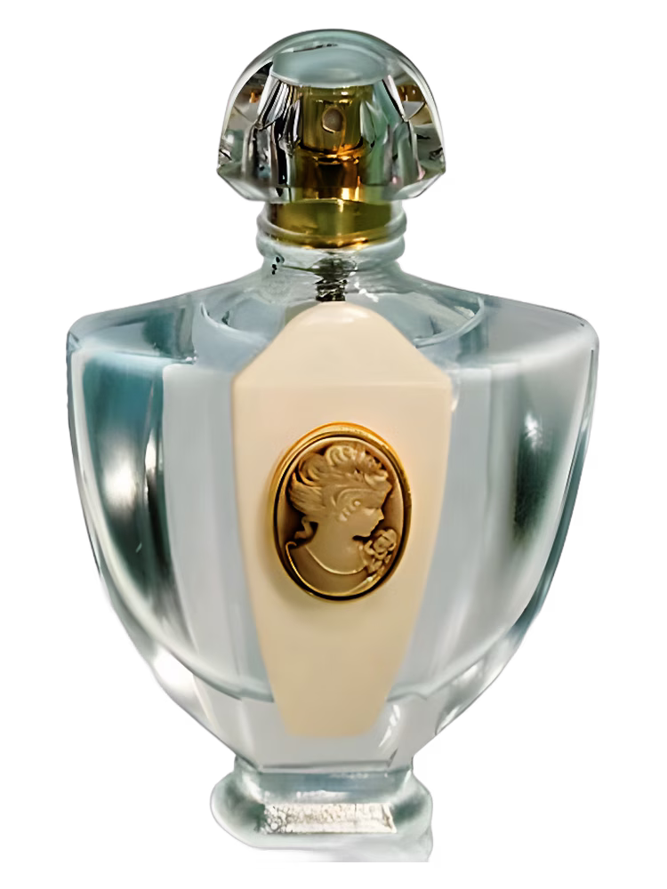 Brocard L'Eau Classique Pour La Soir