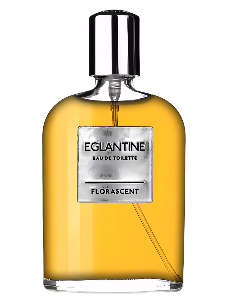 Florascent Eglantine