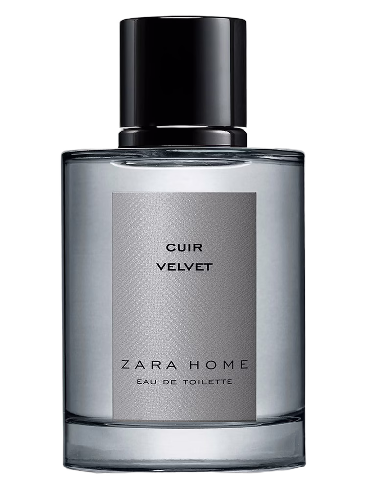 Zara Home Cuir Velvet