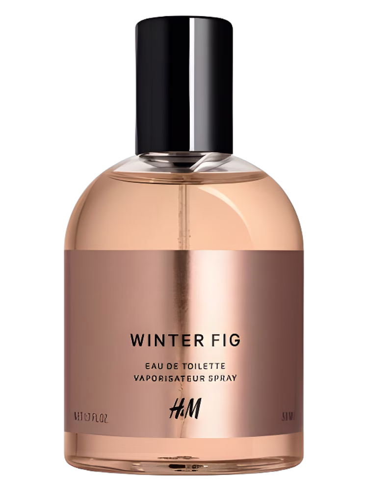 H&M Winter Fig