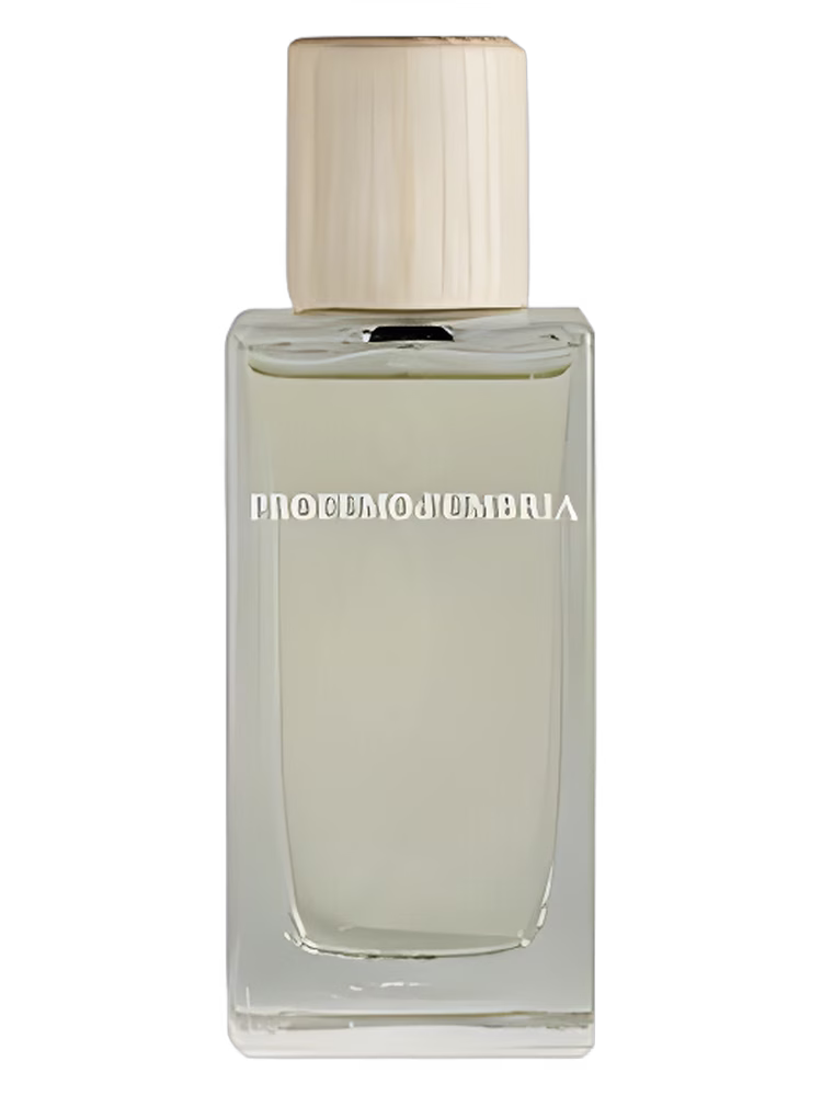 Limonero P. Profumod'Umbria